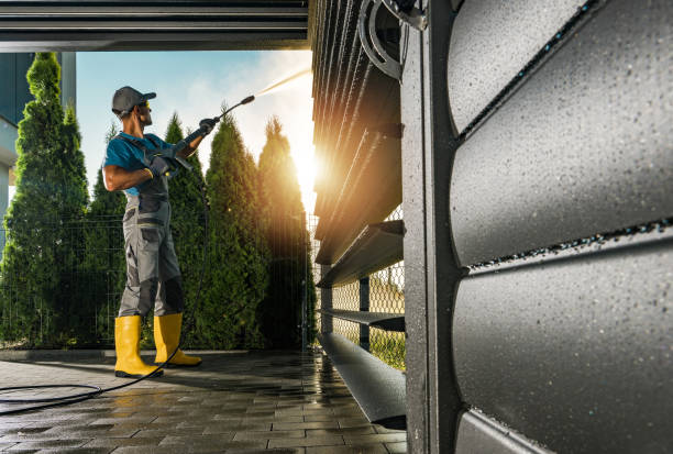 Best Exterior Home Cleaning  in Wanamingo, MN