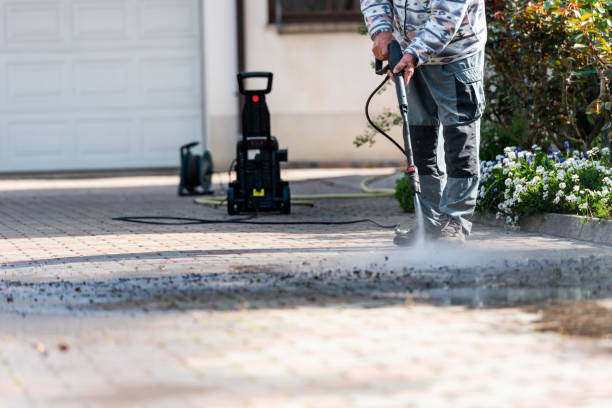 Best Roof Pressure Washing  in Wanamingo, MN