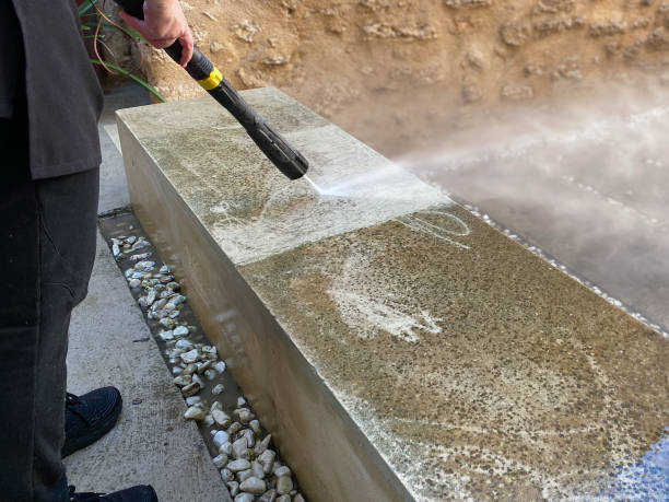 Deck Cleaning Services in Wanamingo, MN