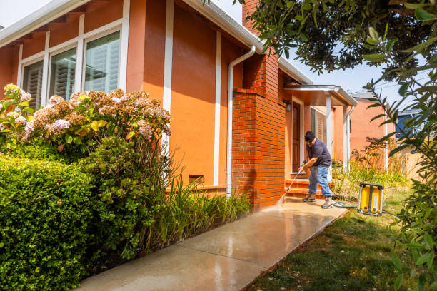 Best Sidewalk Pressure Washing  in Wanamingo, MN