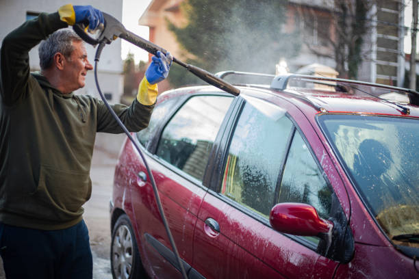 Best Affordable Pressure Washing  in Wanamingo, MN