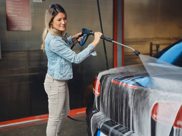 Best Pressure Washing Near Me  in Wanamingo, MN