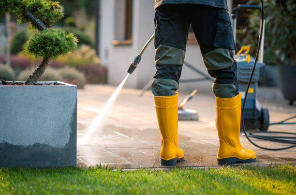 Best Concrete Pressure Washing  in Wanamingo, MN